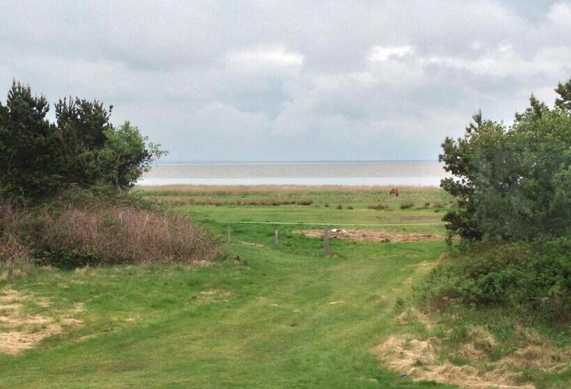 בית מלון כפרי Vadehavet