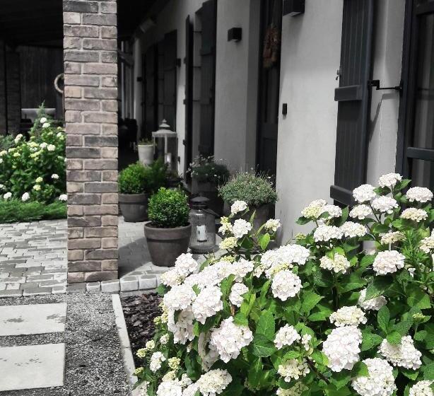 酒店 Villa Antiqua