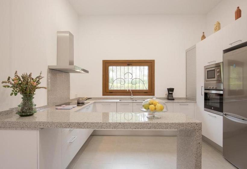 בית מלון כפרי Villa Can Borras