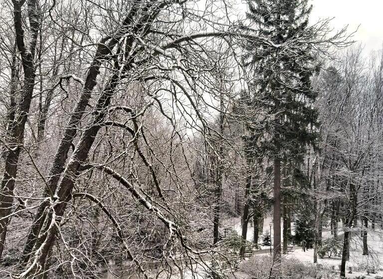 호텔 Villa Lessing