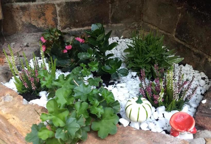 호텔 Villa Muzsa Deluxe