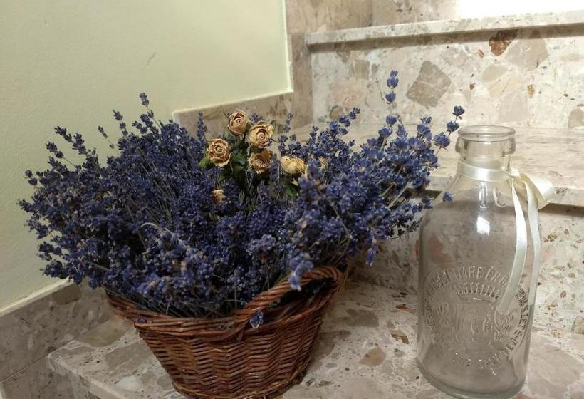 호텔 Villa Muzsa Deluxe