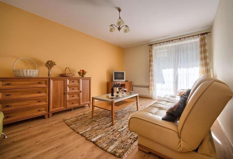בית מלון כפרי Visitzakopane Rainbow Apartments