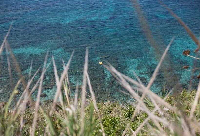 Пансион B&b Villa Elena