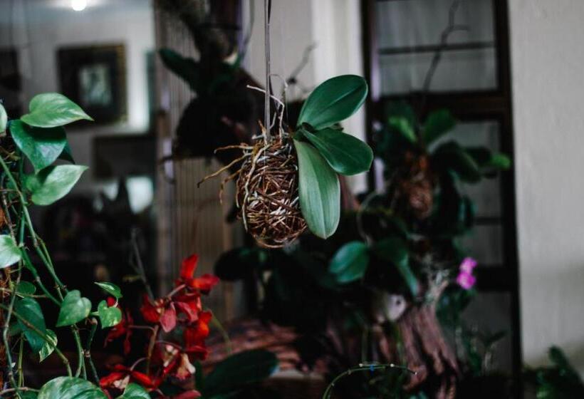 膳宿费 La Dolce Vita Umhlanga Guesthouse