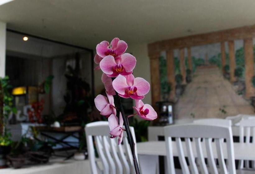 膳宿费 La Dolce Vita Umhlanga Guesthouse