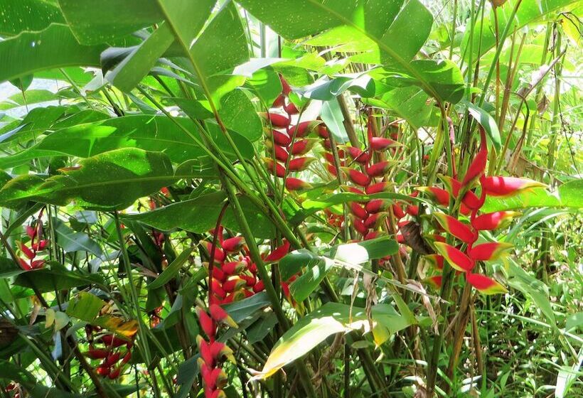 펜션 Native Village Inn