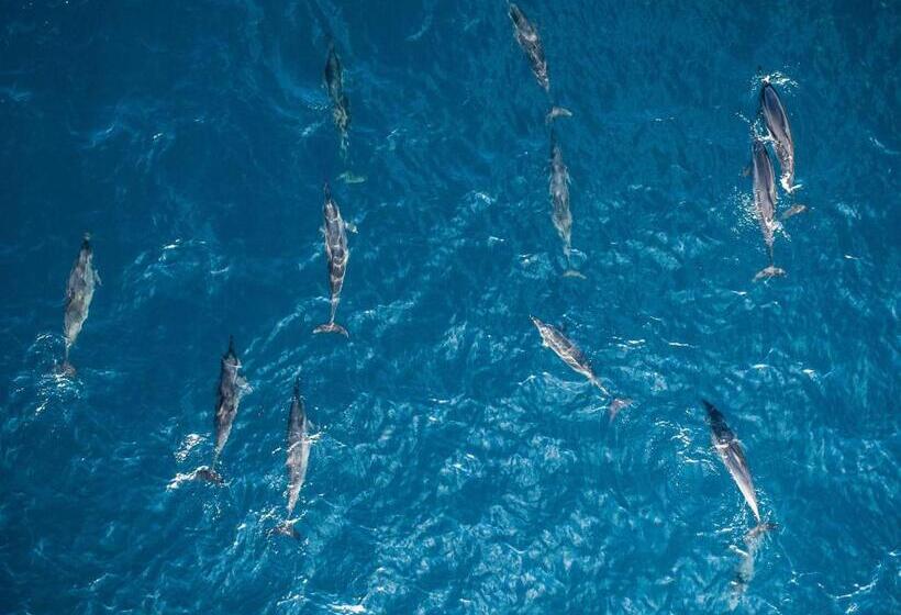 پانسیون Season Paradise