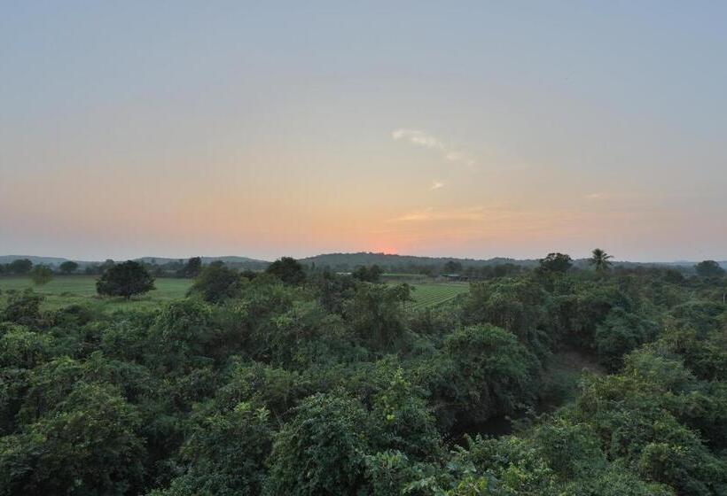 Aaranya Gir Resort