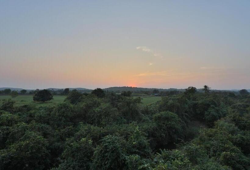 Aaranya Gir Resort