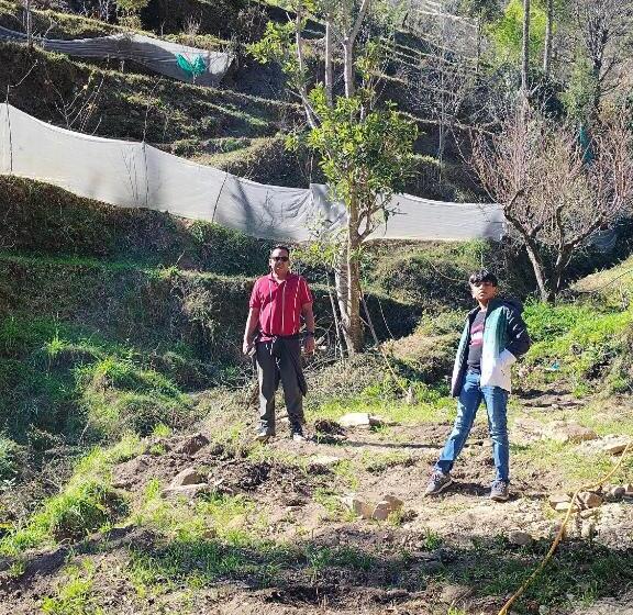 הוסטל Bunk Chamber
