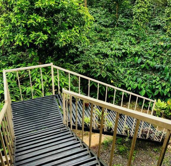 הוסטל The Last Try   Secret Ashram Coorg