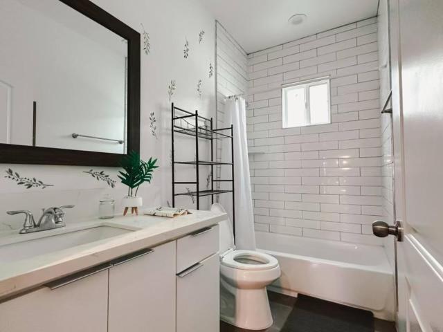 هاستل The Dacha