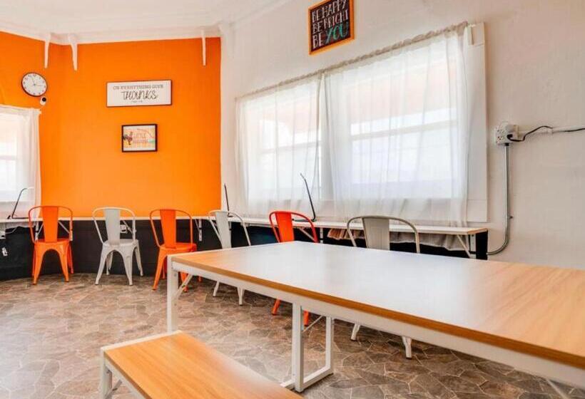 旅馆 Miami On A Budget   Free Coffee  Female Dorms   Men Dorms Under New Management