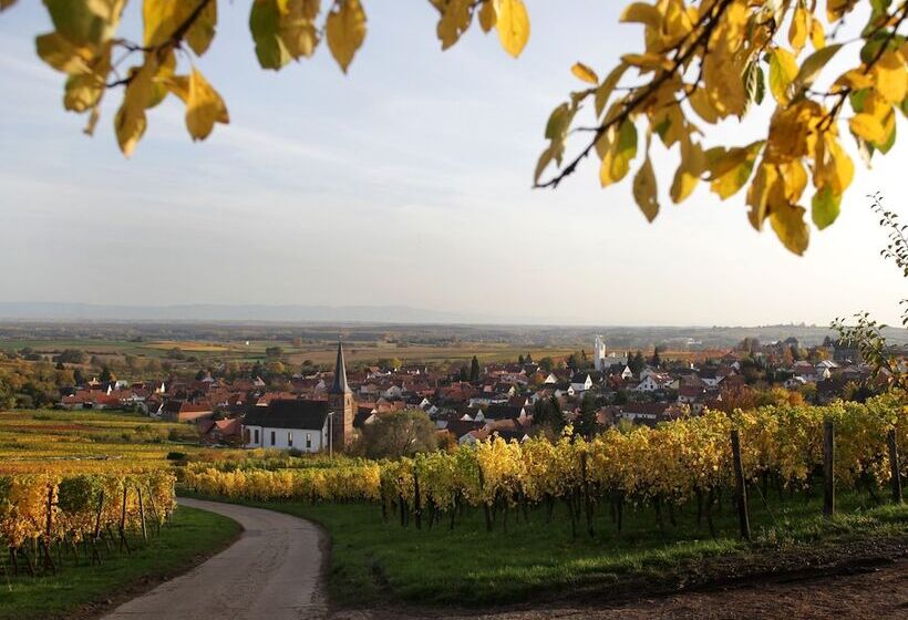 Amelie No 3 Hotel & Appartements