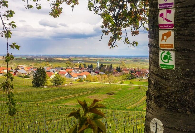 Amelie No 3 Hotel & Appartements