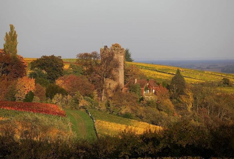 Amelie No 3 Hotel & Appartements
