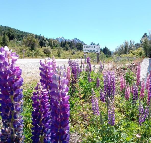 Anacrusa Hostel