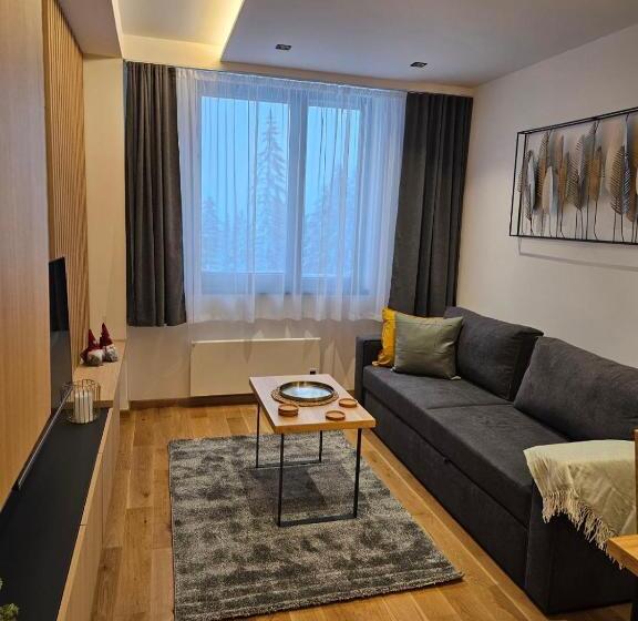 Apart Hotel Zlatni Javor, Apartment 410