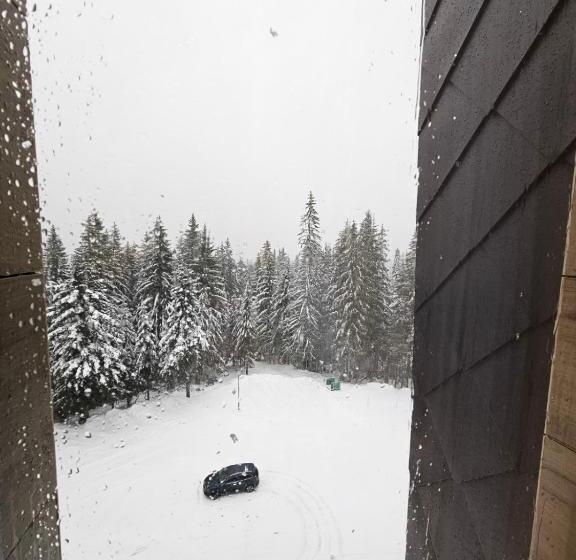 Apart Hotel Zlatni Javor, Apartment 410