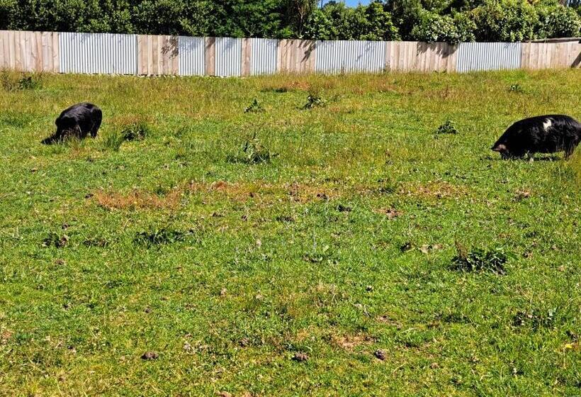 تختخواب و صبحانه 3 Mile Bnb