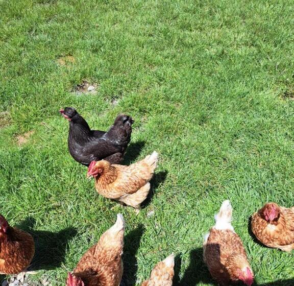 تختخواب و صبحانه 3 Mile Bnb