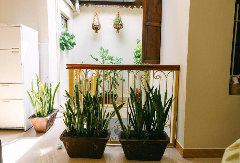 민박 Caravan Serai Amour