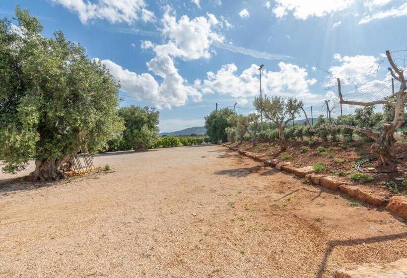 ベッドアンドブレックファースト Dimora Tauro Beb