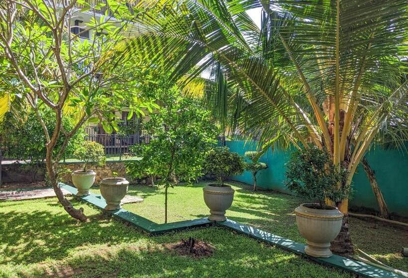 住宿加早餐  Yala Golden Wild