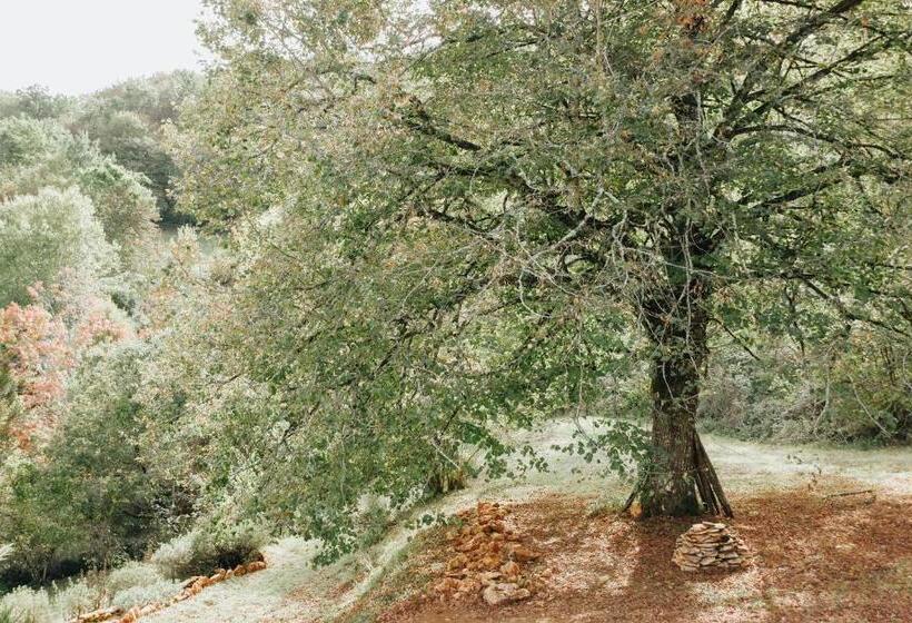 ベッドアンドブレックファースト Maison Cistus   Maison D Hôtes De Charme   Suites Et Gîte Avec Terrasses Privées   Proche De Sarlat