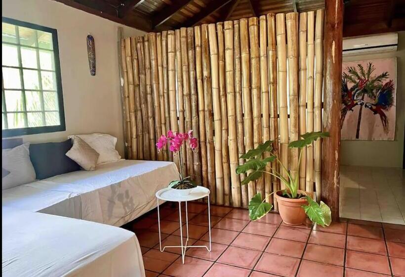 住宿加早餐  Mizaru   Seaview Central Manuel Antonio