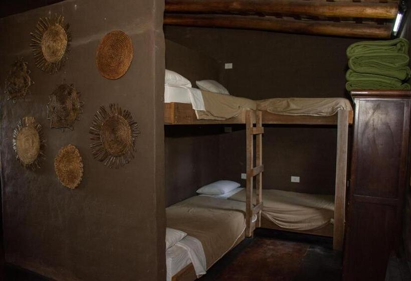 مبيت وإفطار Posada Punta De Piedra