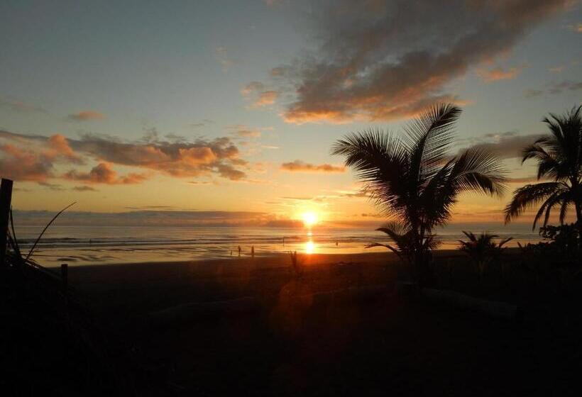 住宿加早餐  Raya