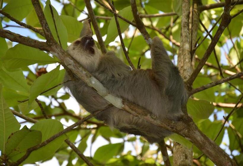 住宿加早餐  Raya