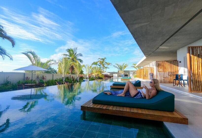 Bed and Breakfast The View