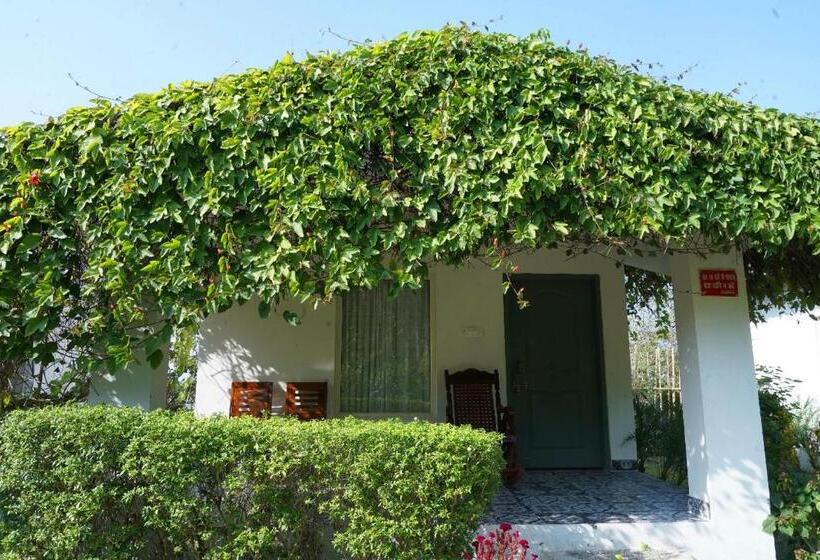 Blizz Hotels Resorts