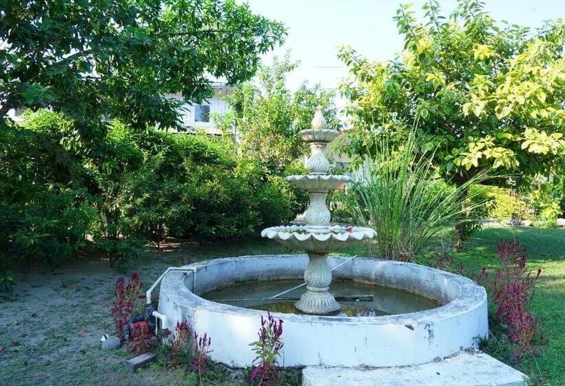 Blizz Hotels Resorts