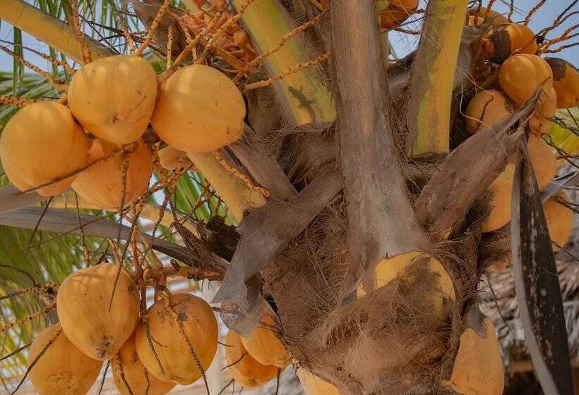Ha Beach Hotel Zanzibar