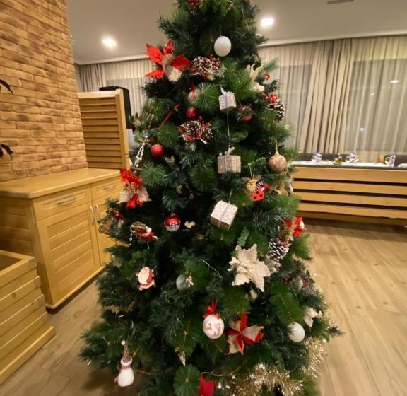 酒店 комплекс дунав