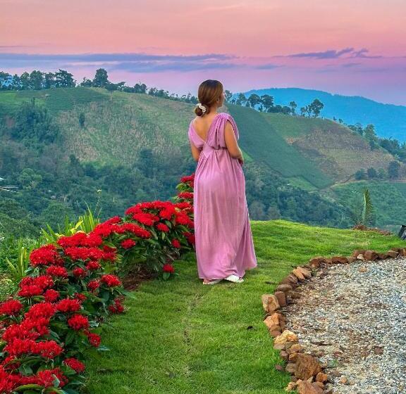 Отель Above The Clouds   Chiang Rai