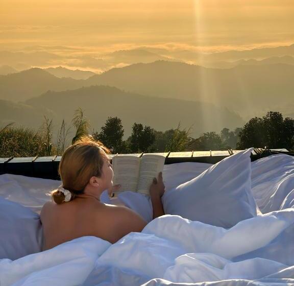 Отель Above The Clouds   Chiang Rai