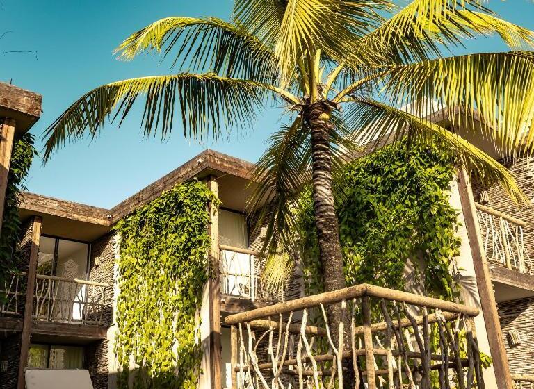 בית מלון כפרי Apenunga Eco