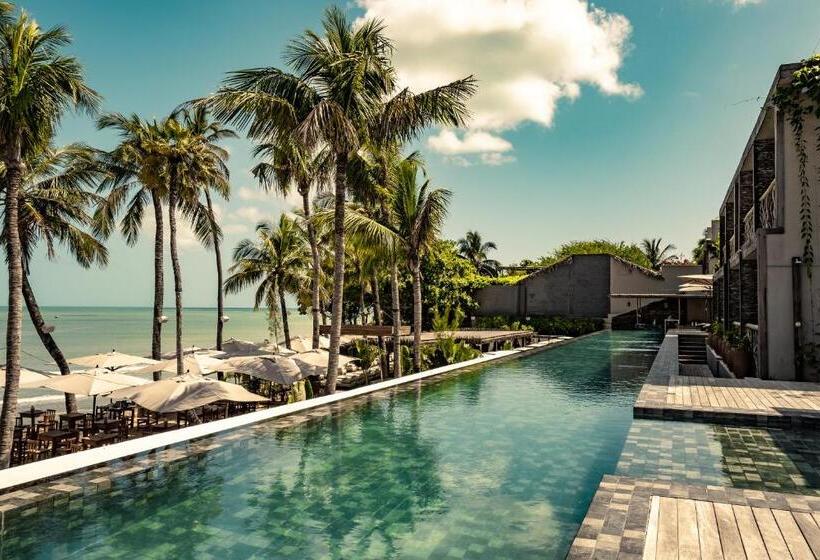 בית מלון כפרי Apenunga Eco