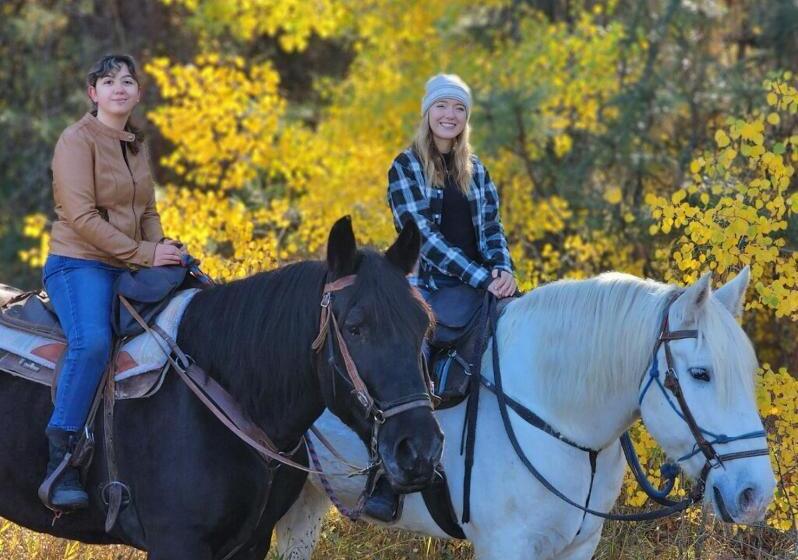 فندق Authentic Barn Bnb