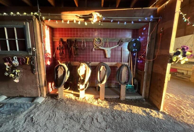 فندق Authentic Barn Bnb