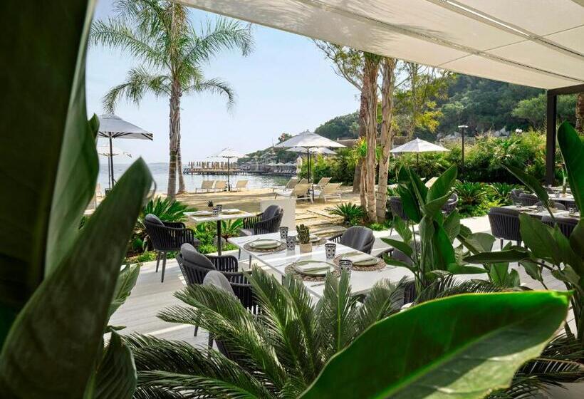 호텔 Caja By Maxx Royal