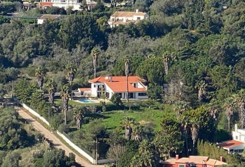 בית מלון כפרי Casa Calidris   Bed, Wine & Breakfast