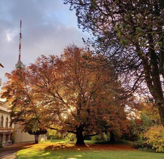 酒店 Chrischona Berg