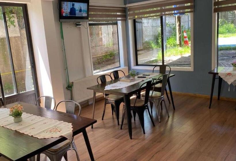 Отель Hostal Sur Y Magia