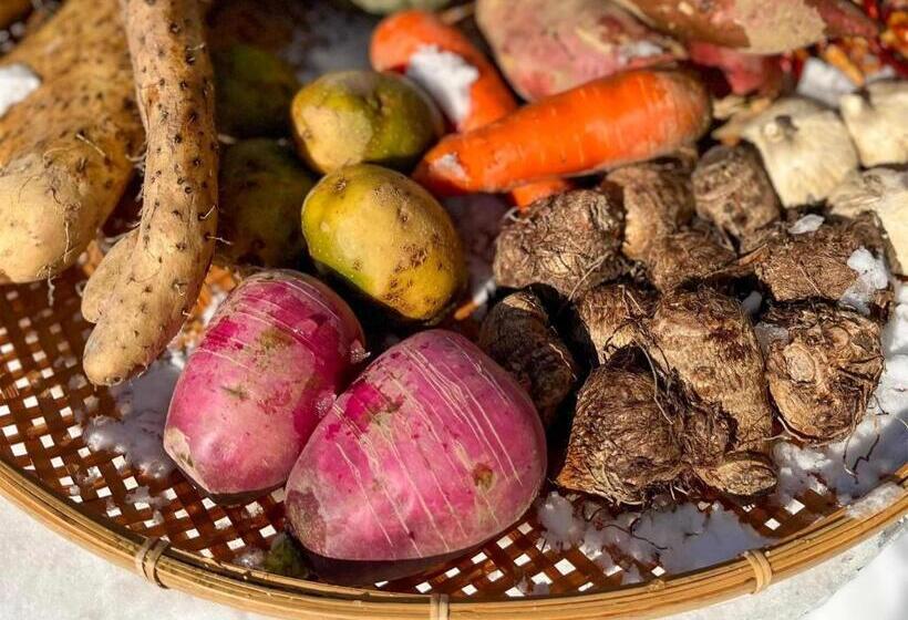 فندق Ishiuchi Ski Center   Vacation Stay 09208v